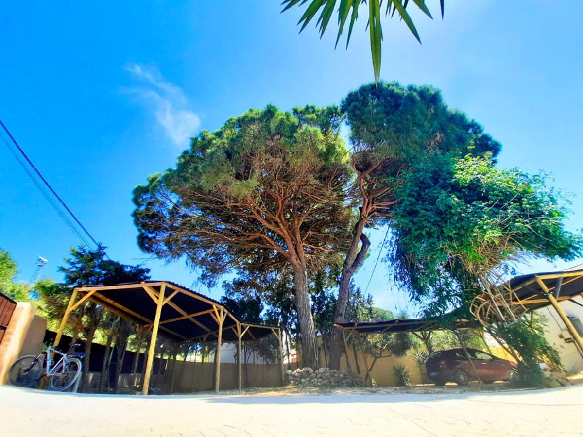 Apartment Marisma Barbate